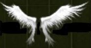 wings of heaven.JPG